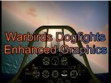 WarBirds: Dogfights EG